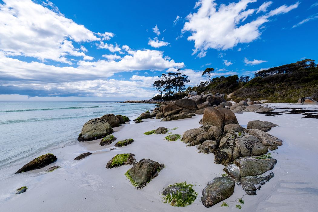 Nelson Bay Like a Local Top Spots Tourists Miss