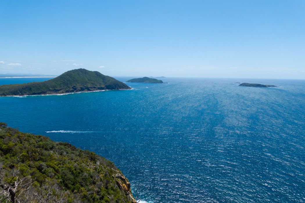 What to Do in Nelson Bay: Explore Beaches, Fishing, and More