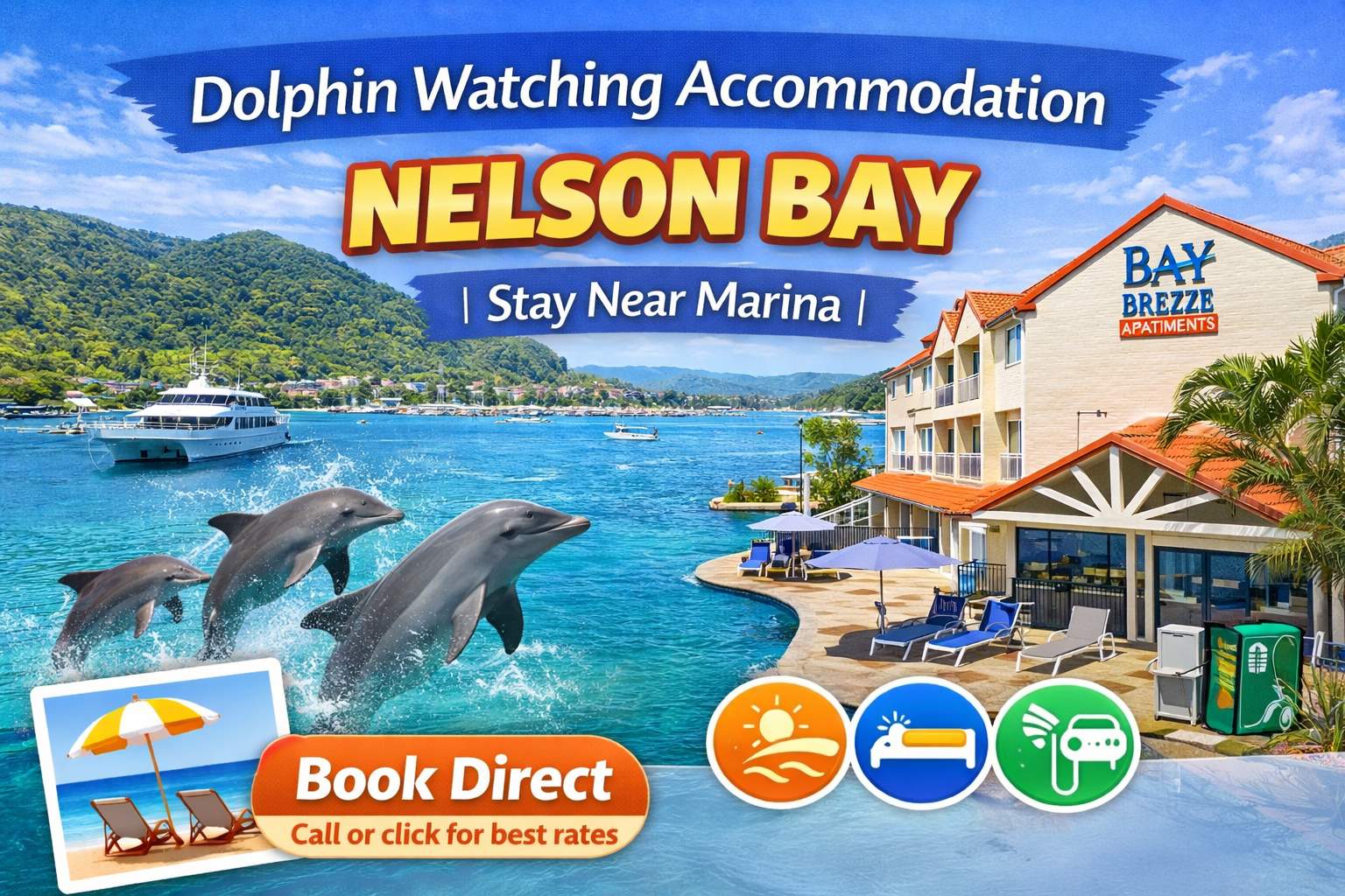 Dolphin Watching Accommodation Nelson Bay🐬