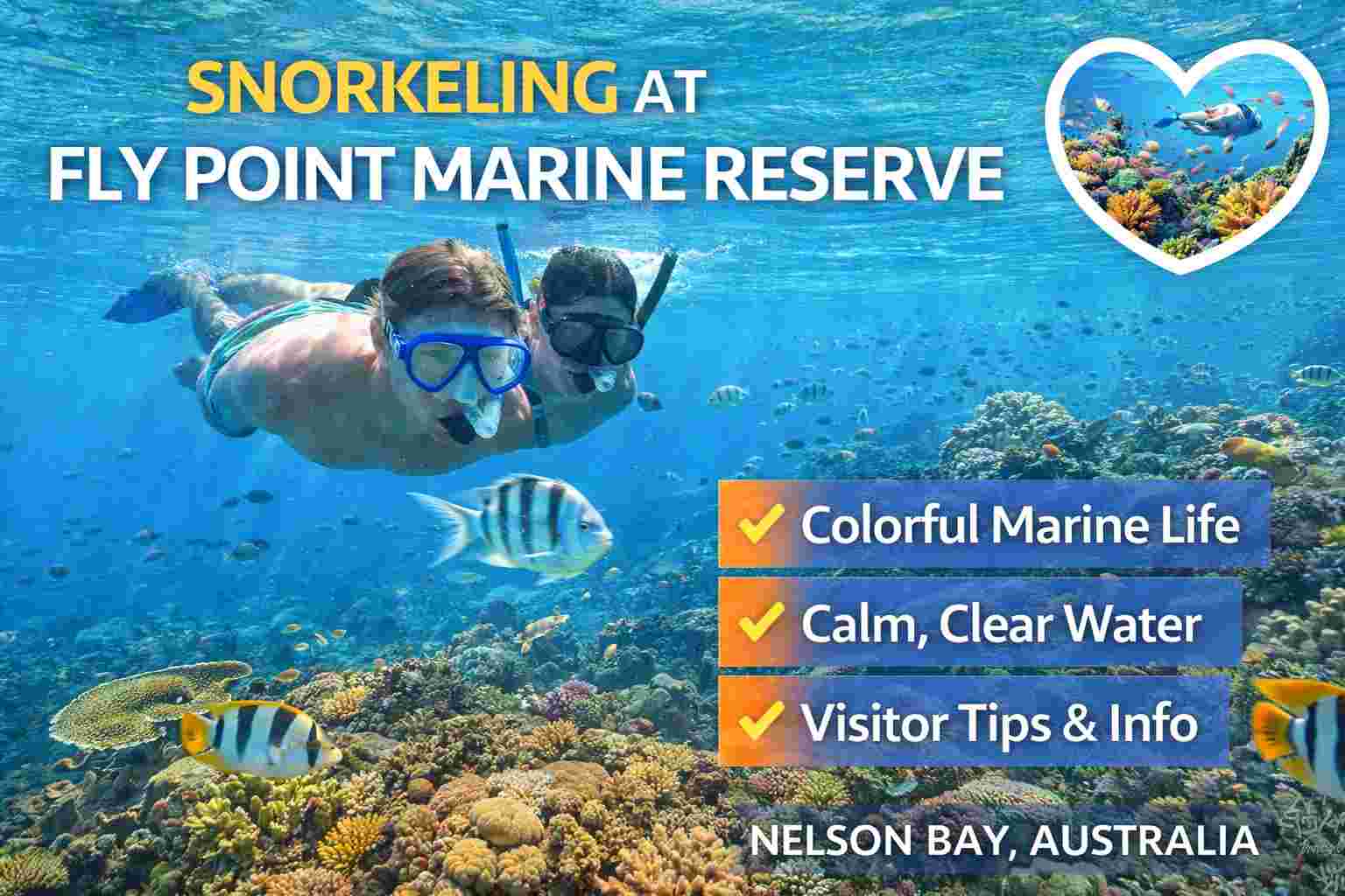 Snorkeling at Fly Point Marine Reserve – Visitor Guide