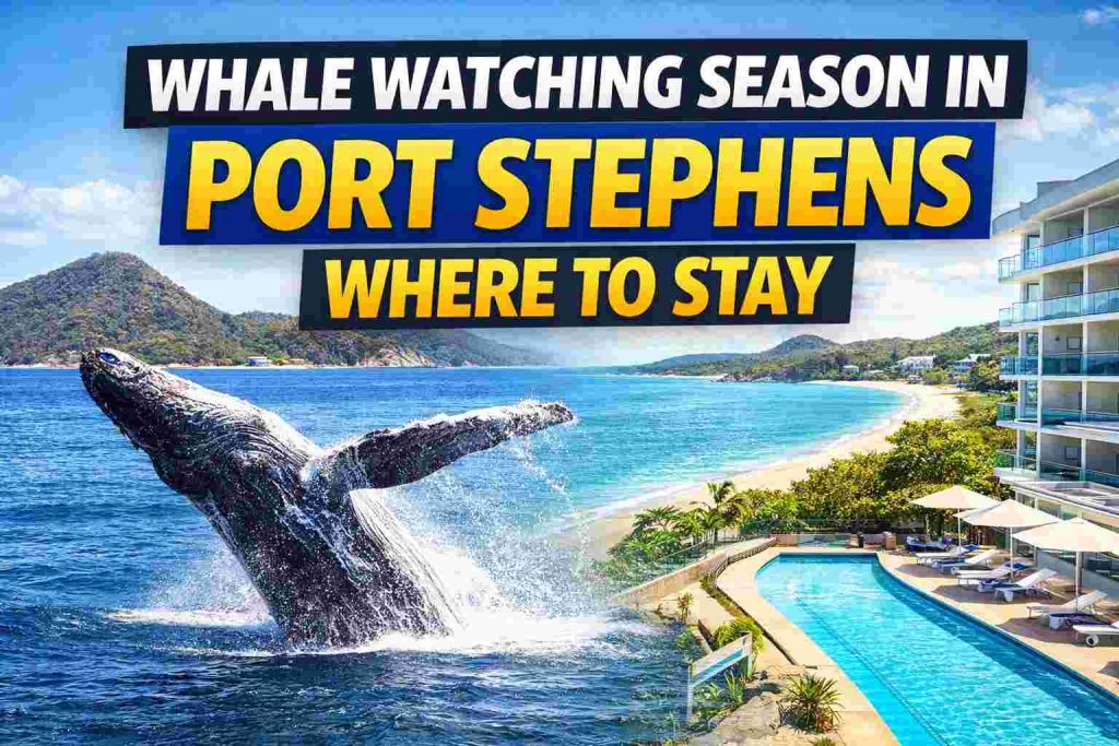 Whale watching and resorts in Port Stephens