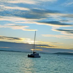 WhatsApp Image 2023-05-21 at 4.23.08 PM