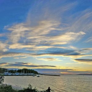 WhatsApp Image 2023-05-21 at 4.23.09 PM