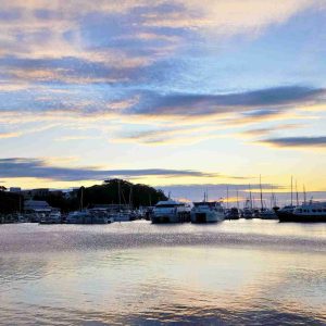 YKnot Cruises Nelson Bay Foreshore Reserve