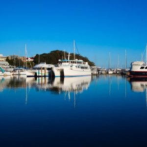 Must visit places in nelson bay